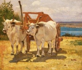Il brindisi alla vacca. Uomini, animali e simboli nella civiltà contadina del Salento
